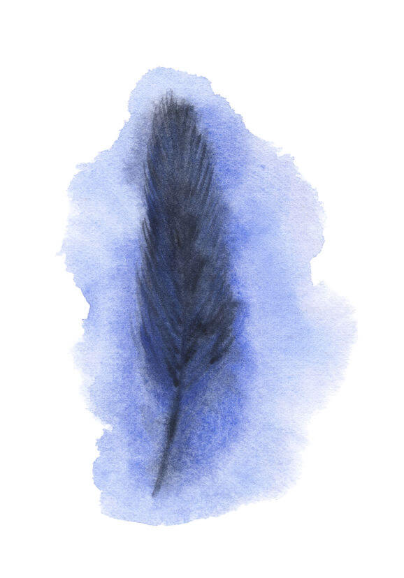 Hand drawn abstract feather. Watercolor illustration.